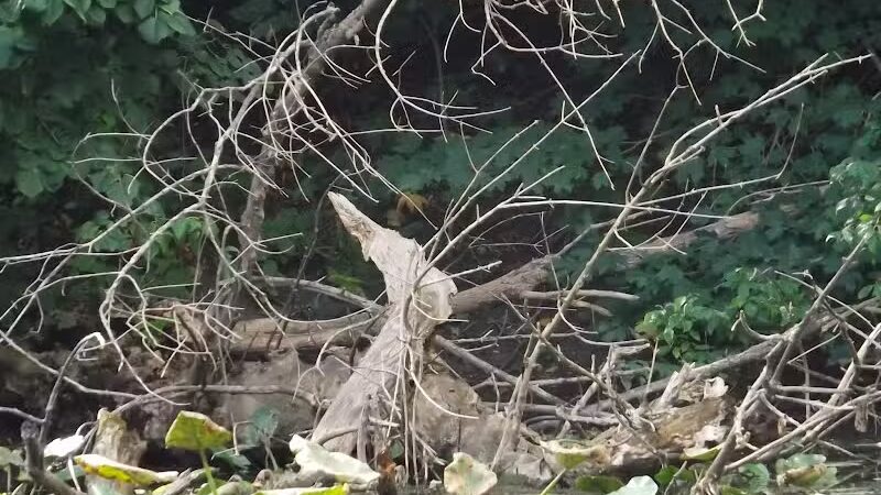 Winkelhaus Park - Hamburg,