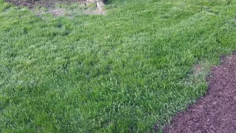 Winkelhaus Park - Hamburg,