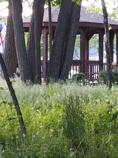 Winkelhaus Park - Hamburg,