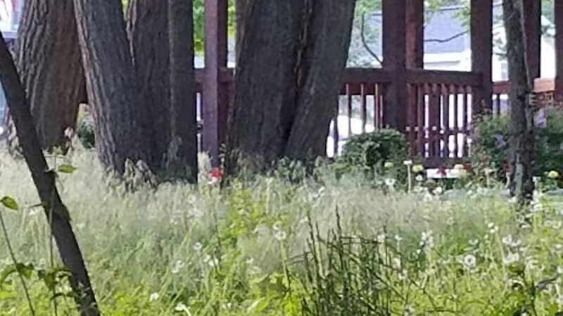 Winkelhaus Park - Hamburg,