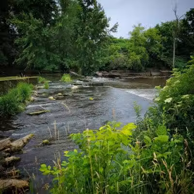 Schutmaat Park - Hamilton,
