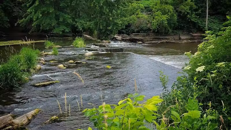 Schutmaat Park - Hamilton,