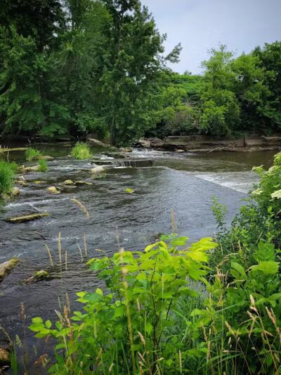 Schutmaat Park - Hamilton,