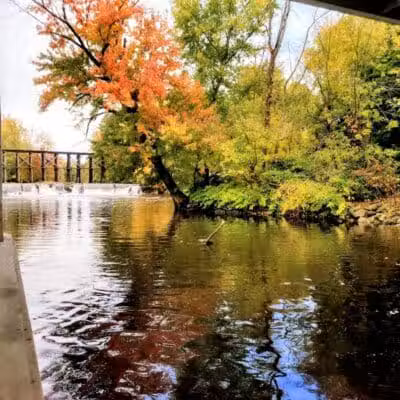 Schutmaat Park - Hamilton,