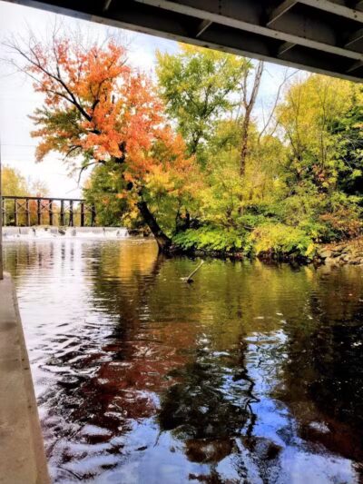 Schutmaat Park - Hamilton,