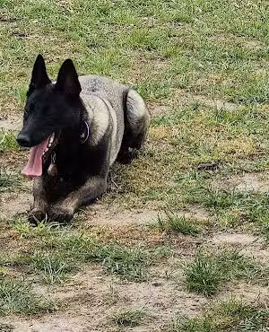 Heartland Off Leash Dog Park - Hammond, WI