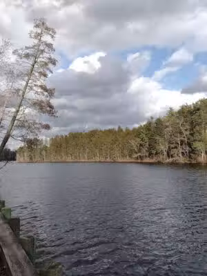Hammonton Lake Park Trail - Hammonton, NJ