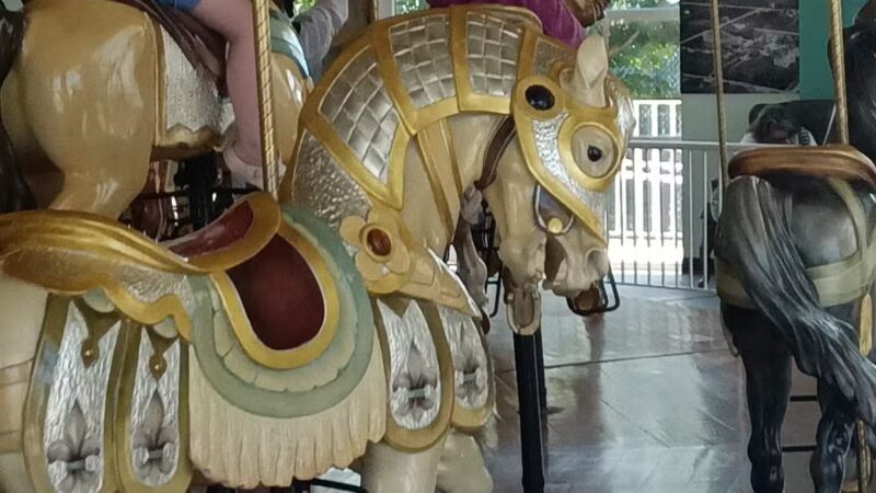 Downtown Hampton Dog Park - Hampton, VA