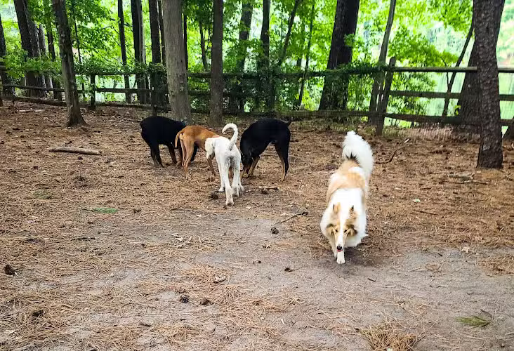 Dog Park at Sandy Bottom Nature Park - Hampton, VA