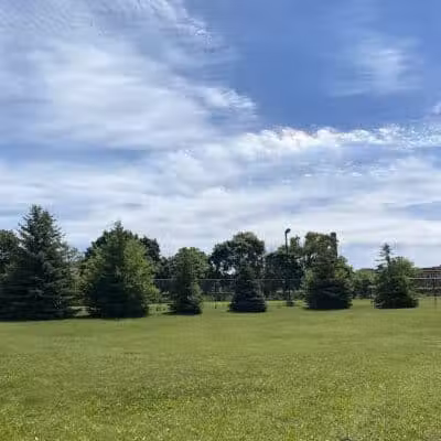 Lasky Dog Park - Hamtramck,