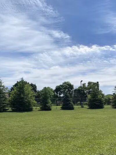 Lasky Dog Park - Hamtramck,