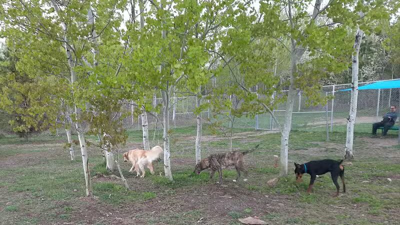 Hancock Dog Park - Hancock, MI