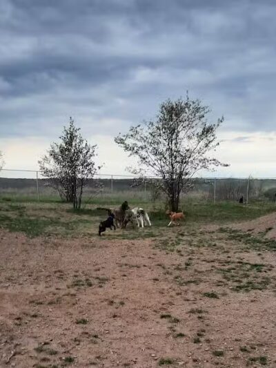 Hancock Dog Park - Hancock, MI