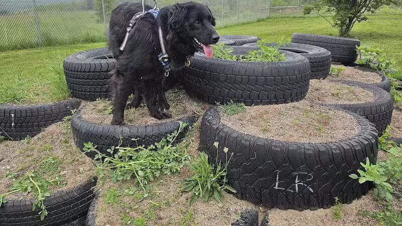 Hancock Dog Park - Hancock, MI