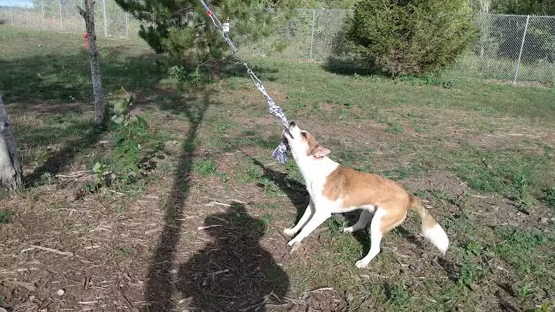 Hancock Dog Park - Hancock, MI