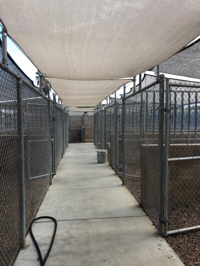 Funny Faces Bed & Biscuit - Hanford, CA