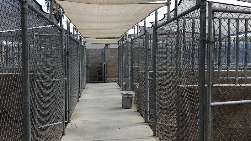 Funny Faces Bed & Biscuit - Hanford, CA