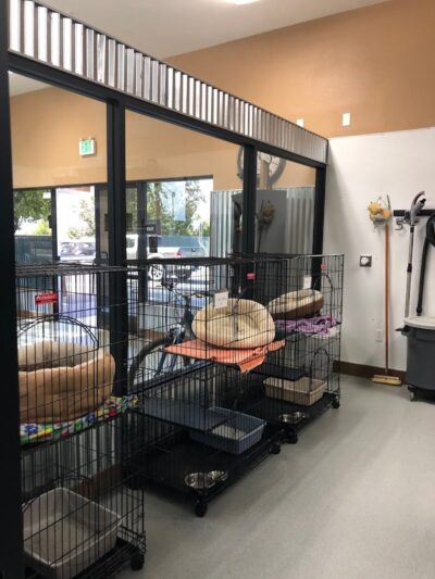 Funny Faces Bed & Biscuit - Hanford, CA