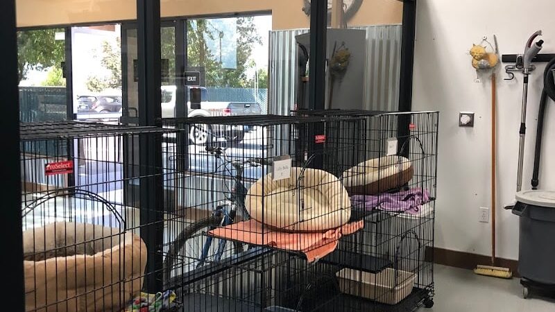 Funny Faces Bed & Biscuit - Hanford, CA