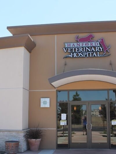 Funny Faces Bed & Biscuit - Hanford, CA