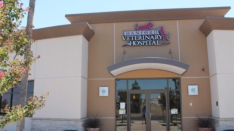 Funny Faces Bed & Biscuit - Hanford, CA