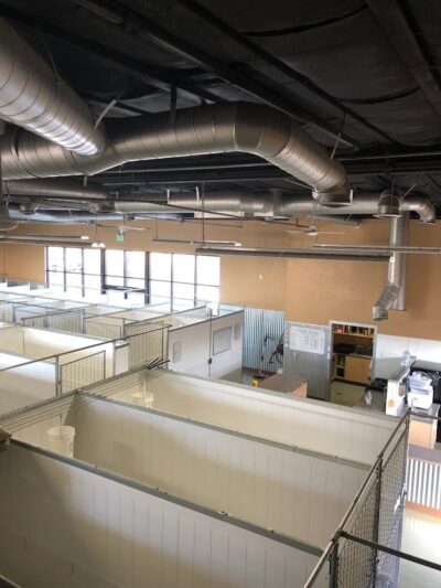 Funny Faces Bed & Biscuit - Hanford, CA