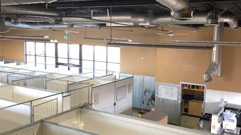 Funny Faces Bed & Biscuit - Hanford, CA