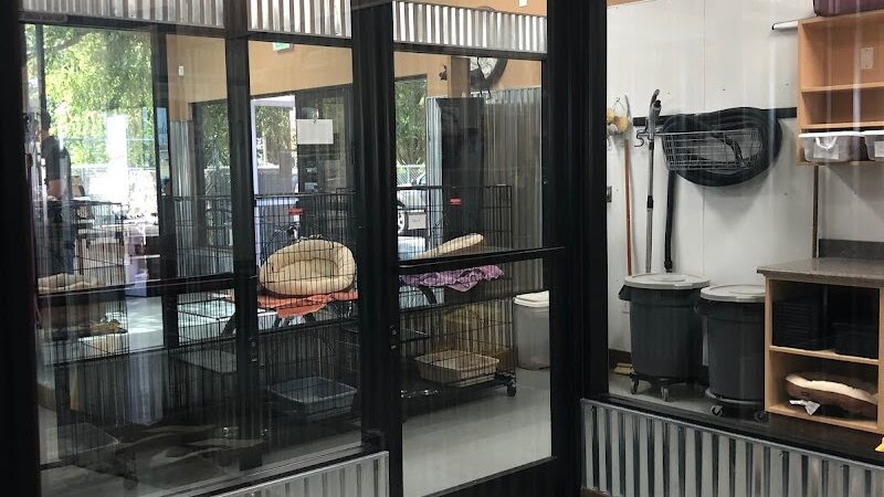 Funny Faces Bed & Biscuit - Hanford, CA