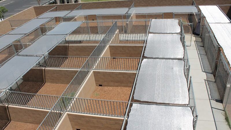 Funny Faces Bed & Biscuit - Hanford, CA