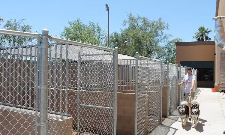 Funny Faces Bed & Biscuit - Hanford, CA