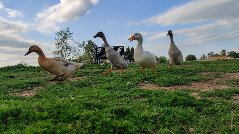 Hidden Valley Park - Hanford, CA