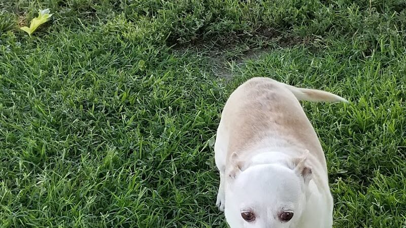 Hood Park - Hanford, CA