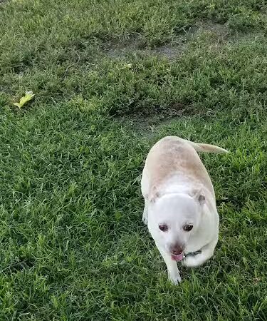 Hood Park - Hanford, CA