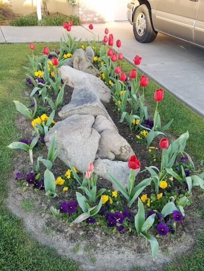 Redwood Park - Hanford, CA