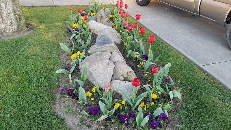 Redwood Park - Hanford, CA