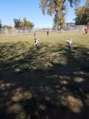 Dempsey Dog Park - Hannibal, MO