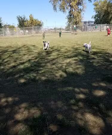 Dempsey Dog Park - Hannibal, MO