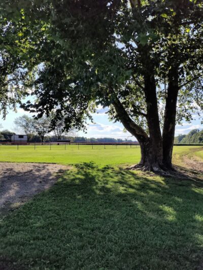 Hanover Park - Hanover, IN