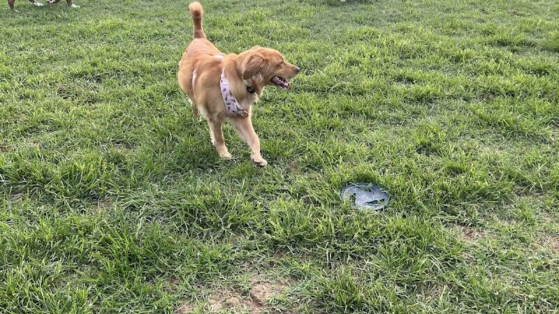 Matthewstown Harmans Dog Park - Hanover, MD