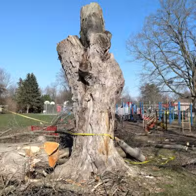 Perrine Park - Hanover,