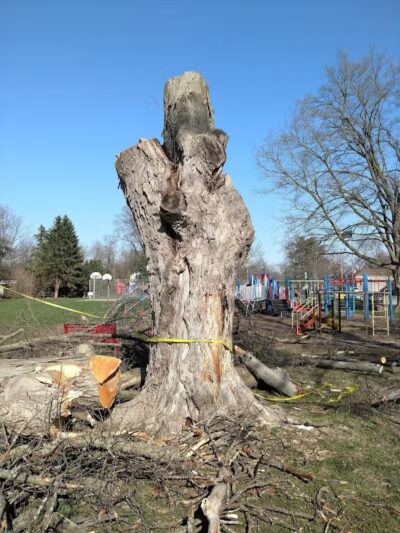 Perrine Park - Hanover,