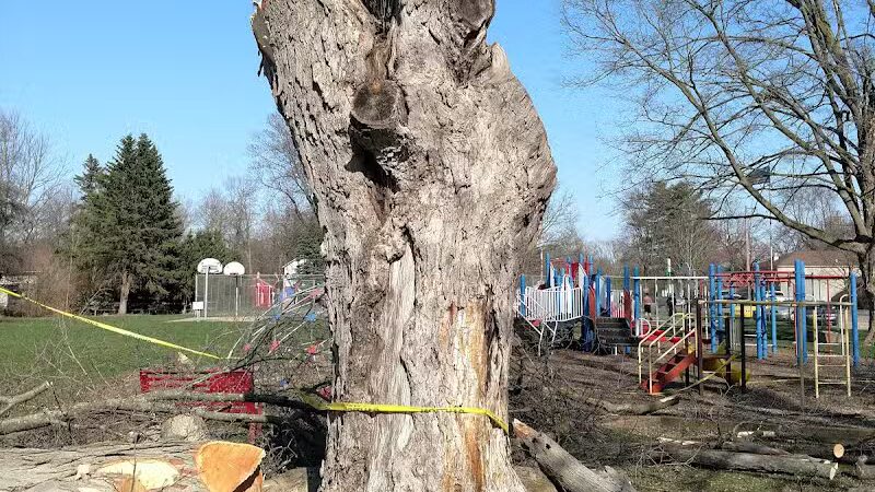 Perrine Park - Hanover,