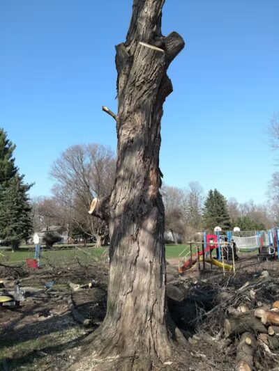 Perrine Park - Hanover,