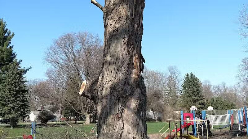 Perrine Park - Hanover,