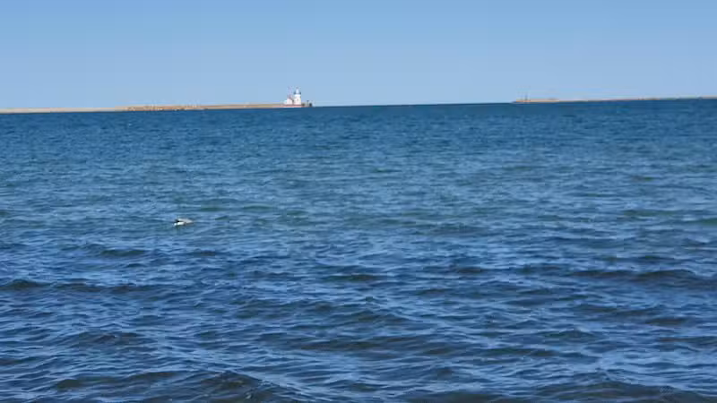 Judge James H. Lincoln Memorial Park - Harbor Beach,