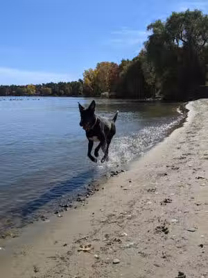 Judge James H. Lincoln Memorial Park - Harbor Beach,