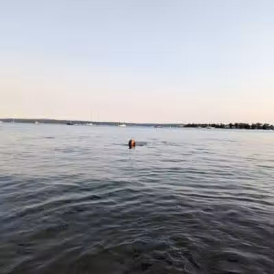 Zoll Street Beach - Harbor Springs, MI