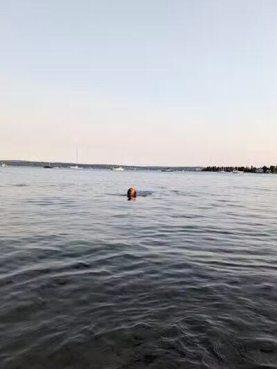 Zoll Street Beach - Harbor Springs, MI