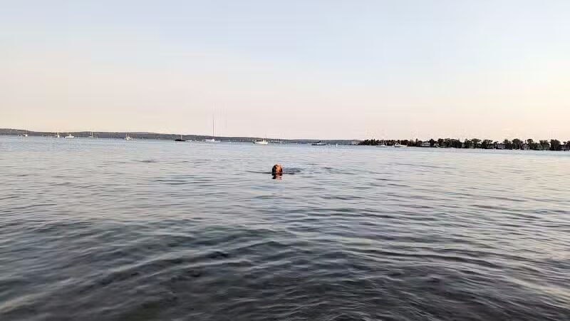 Zoll Street Beach - Harbor Springs, MI