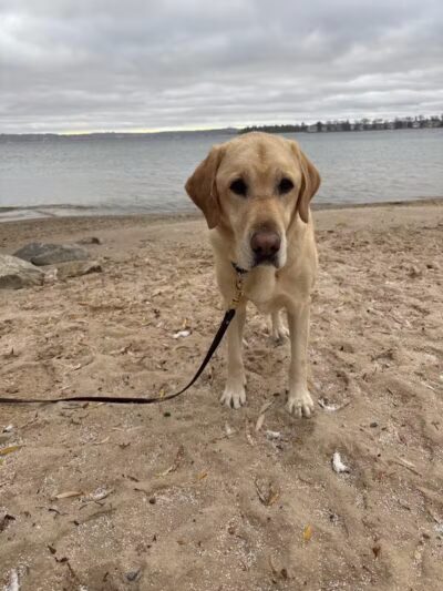 Zoll Street Beach - Harbor Springs, MI